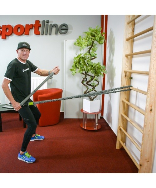 Wall Bars inSPORTline Shapemar 220 x 90 cm