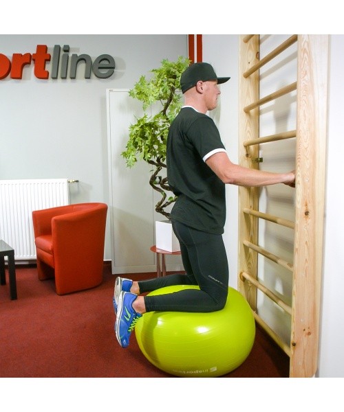 Wall Bars inSPORTline Shapemar 220 x 90 cm