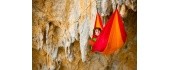 Az Hammock 'Adventure'