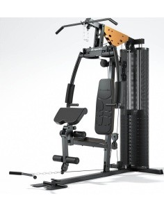 Home Gym inSPORTline ProfiGym C45