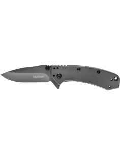 Kokkupandav nuga Kershaw Cryo 1555TI
