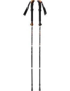 Folding Nordic Poles Yate Eagle