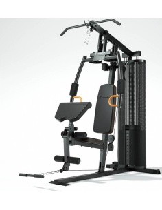 Home Gym inSPORTline ProfiGym C35