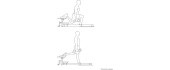 Hip Thrust treenimismasin inSPORTline X-NT HT10