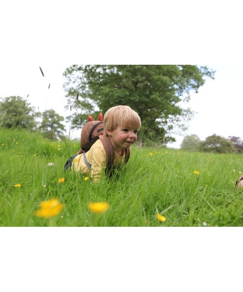 Littlelife laste seljakott Dinosaur