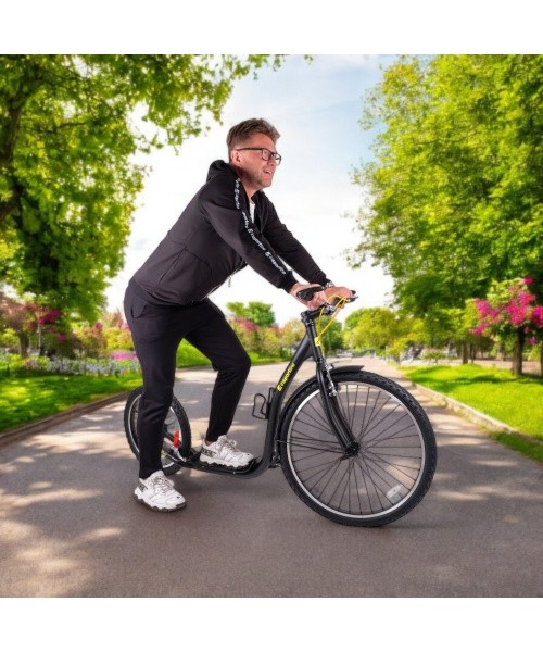 Tõukeratas inSPORTline Parduber 26/20"