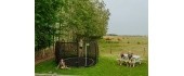 EXIT Dynamic ground level trampoline ø366cm with safety net - black