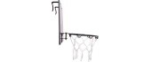Children’s Wall-Mounted Basketball Hoop w/ Scoreboard inSPORTline Jacksonville