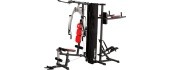 Multi-Gym inSPORTline Phanton