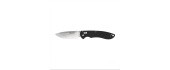 Folding Knife Ganzo Firebird F740-BK