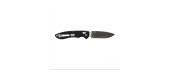 Folding Knife Ganzo Firebird F740-BK