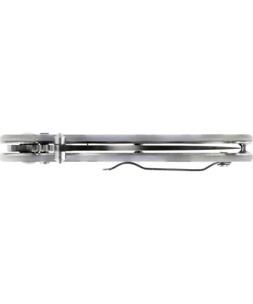 Ganzo Firebird FB727S-CA folding knife