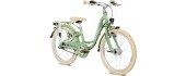 Jalgratas PUKY Skyride 20-3 Classic Alu retro, roheline