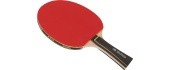 Table Tennis Bat Buffalo Talent 