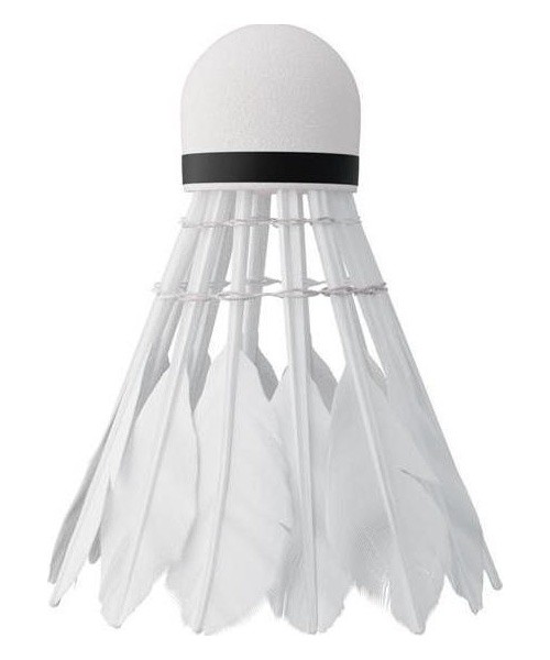 NBL6206 SHUTTLECOCKS FEATHERS 6 PCS. NILS