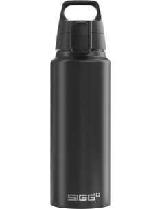 SIGG Alu drinking bottle 'WMB One'