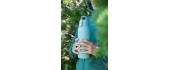 SIGG Shield Therm One termos