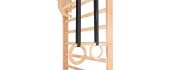Gymnastic Rings for Wall Bars