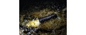 LED flashlight Fenix ​​E01 V2.0 black