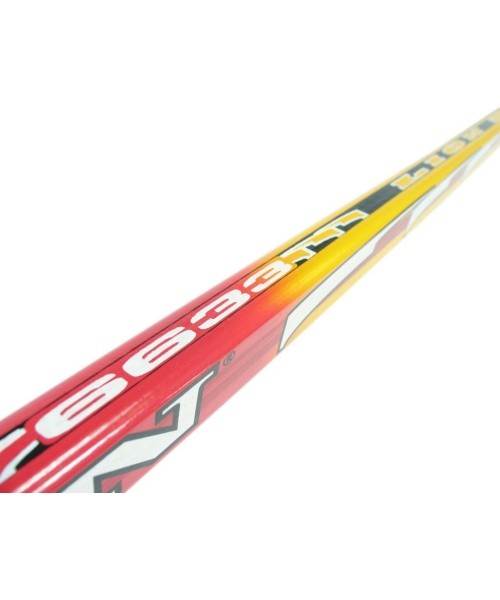 Children’s Ice Hockey Stick LION 6633 – Left-Shot