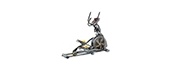 Elliptical Trainers