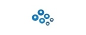 Penny Board Bushing Washers