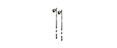 Nordic Walking Poles